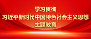 操b爽吗学习贯彻习近平新时代中国特色社会主义思想主题教育_fororder_ad-371X160(2)